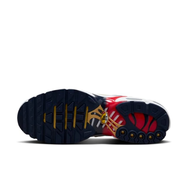 Nike Air Max Plus "PSG"